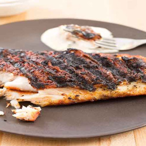 Grilled Snapper