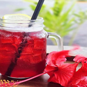 Hibiscus Iced Tea