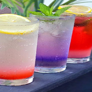 Watermelon Mojito