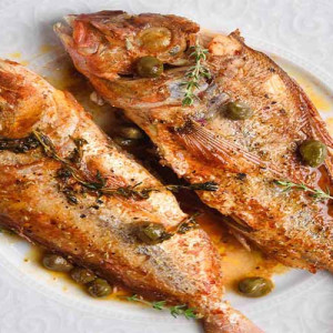 Red Snappers