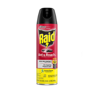 Raid Ant & Roach Spray (Lemon Scent) - 17.5oz